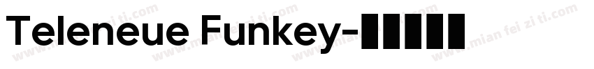 Teleneue Funkey字体转换
